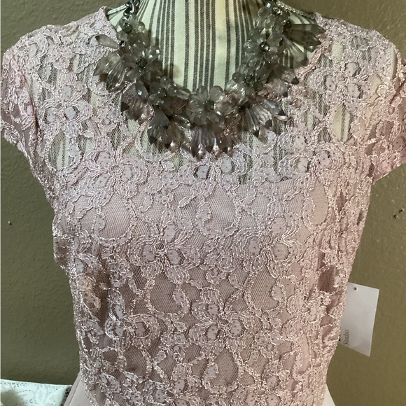 New Enfocus Studio Peplum Lace Pink Midi Dress - Picture 5 of 14